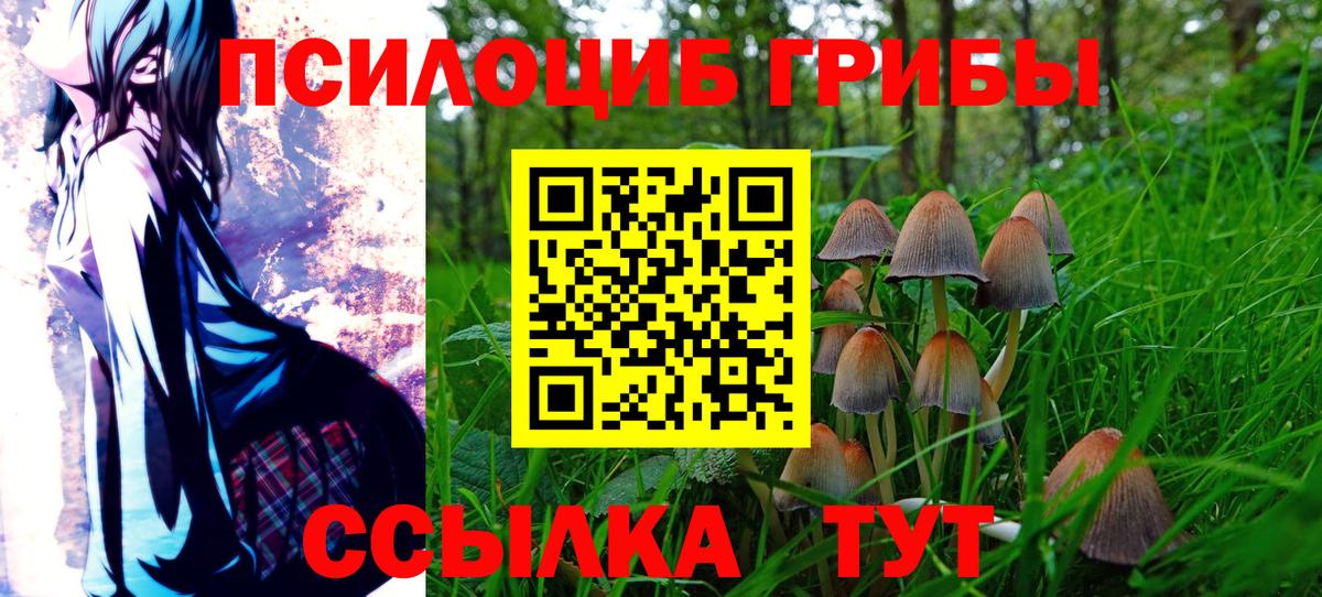 Псилоцибиновые грибы MAGIC MUSHROOMS Десногорск